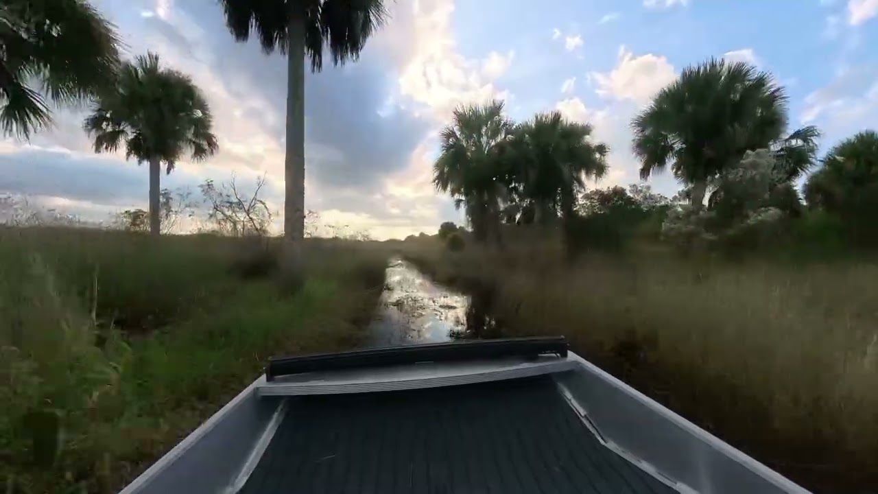 RAW AIRBOAT POWER: An Immersive Journey Through the Florida Swamp