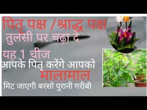 वीडियो: कैसे निर्धारित करें कि मातृ जल गई