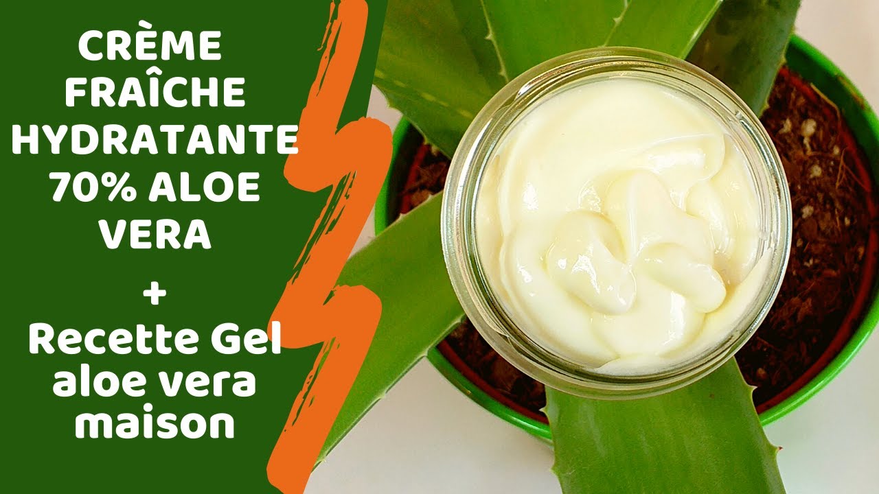 Creme Hydratante A L Aloe Vera Les Recettes De Louizzette