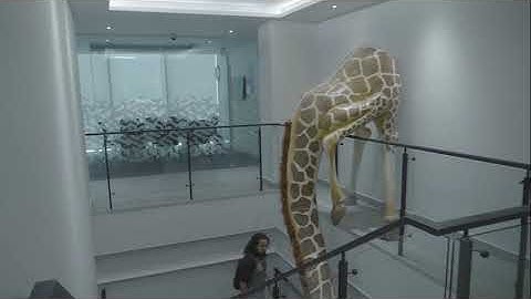 Softtek Monterrey Video Tour