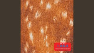 小鹿亂撞 (feat. Teriver Cheung) - Novel Friday