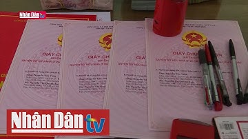 Bắt 9 đối tượng tổ chức đánh bạc, cá độ bóng đá hàng trăm tỷ đồng