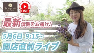 水曜　開店直前ライブ！