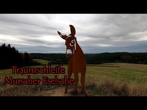 Wandern auf der Traumschleife Murscher Eselsche - Hunsrück