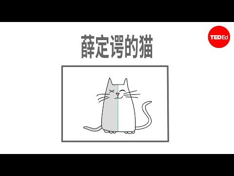 薛定谔的猫：量子力学的思想实验 - Chad Orzel