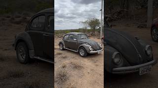 Fusca na roça 🌵