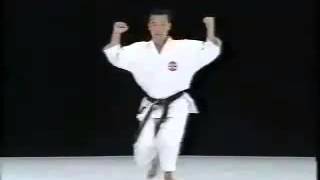Jitte Shito Ryu