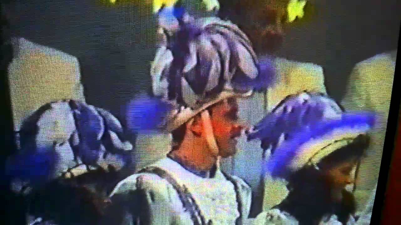 Gemischte Tanzgarde Pforzheimer Faschingsgesellschaft 1994