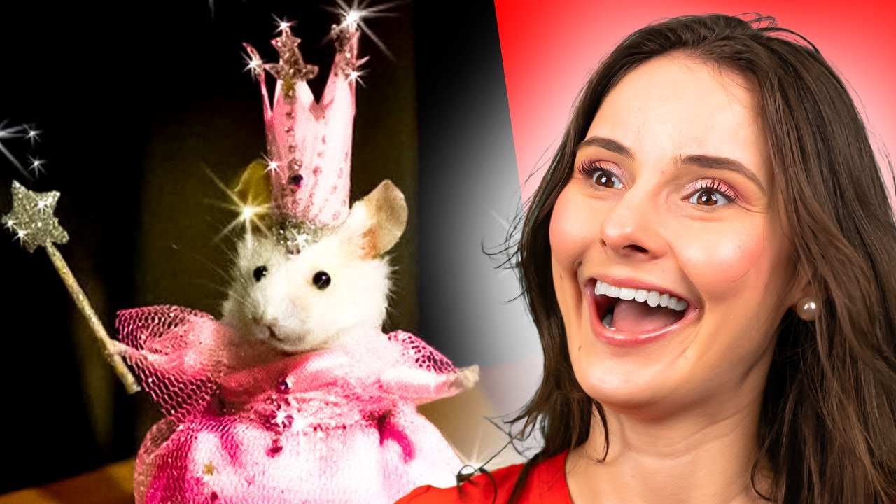 Melhores MEMES de animais que já REAGIMOS