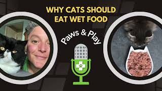 Why Wet Food Is Good For Cats by FurLife 74 views 1 year ago 38 minutes