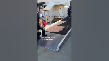 Maryland search and rescue team returns home after two weeks of assisting Hurricane Helene victims