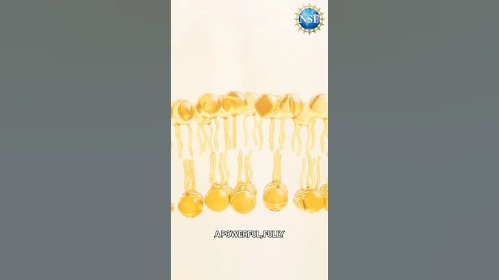 New Material Filters Out ‘Forever Chemicals’ #shorts #water #science #pfas