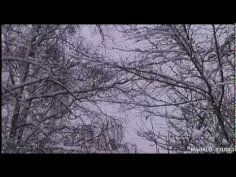 ESPERANTO-Christmas Peace - Relax With Instrumental Christmas Music And Winter Scenes - YouTube