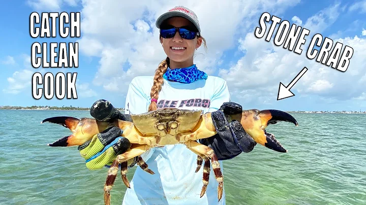 STONE CRAB  CATCH CLEAN COOK - How to catch stone ...