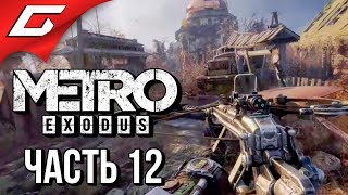 METRO: Exodus (МЕТРО: Исход) ➤ Прохождение #12 ➤ ЛЕТО В ТАЙГЕ