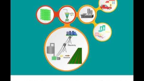 BIORenewables | GO GREEN