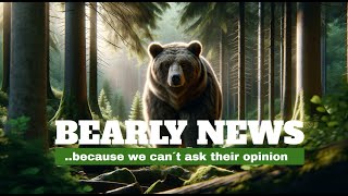 Bearly News [Facts Jam 2024 entery]