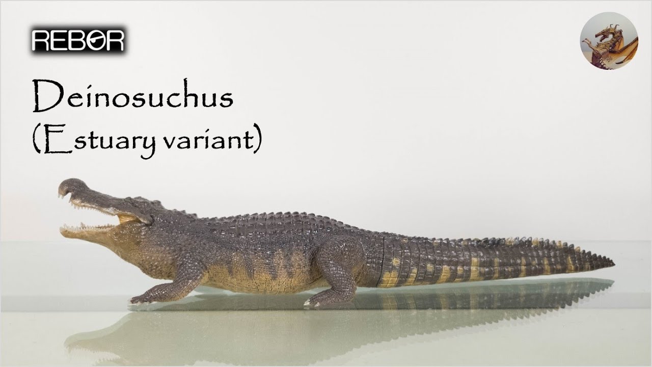 Deinosuchus comparison by Fadeno on DeviantArt