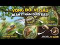 ve sầu- cicada