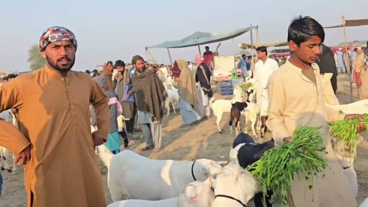 2 12 марта Рамзан Манди! Сегодня рынок был разграблен Мохаммадпур Мохаммадпур Манди