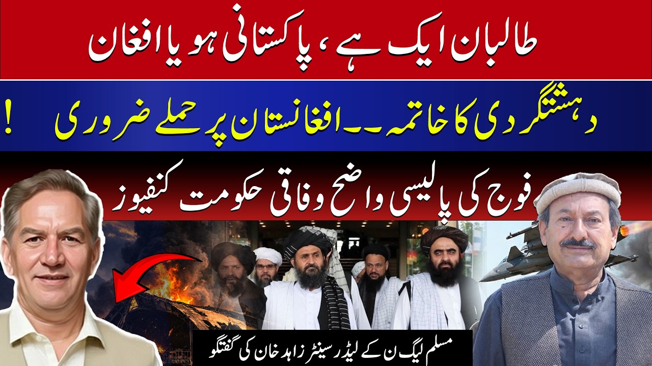 Pakistani or Afghan Taliban? Senator Zahid Khan Speaks on Terrorism and Afghanistan Policy