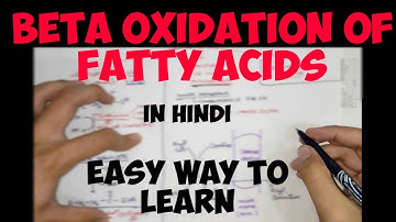 Beta-Oxidation of Fatty Acids (in hindi) | Lipid Metabolism | Biochemistry