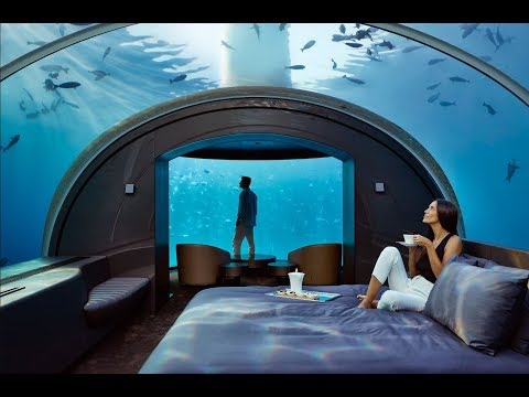 Video: Questa Villa Sottomarina Alle Maldive Ti Fa Dormire Con Gli Squali