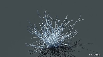 3dsmax Particles Flow animation test  WIP