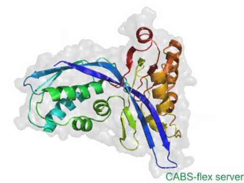 Video: Når aktiveres proteinkinase?