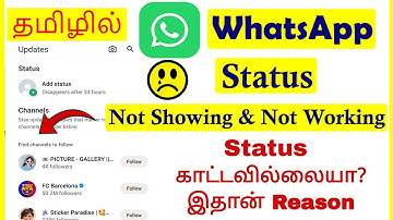 How to Fix WhatsApp Status Not Showing & Not Working Tamil | VividTech