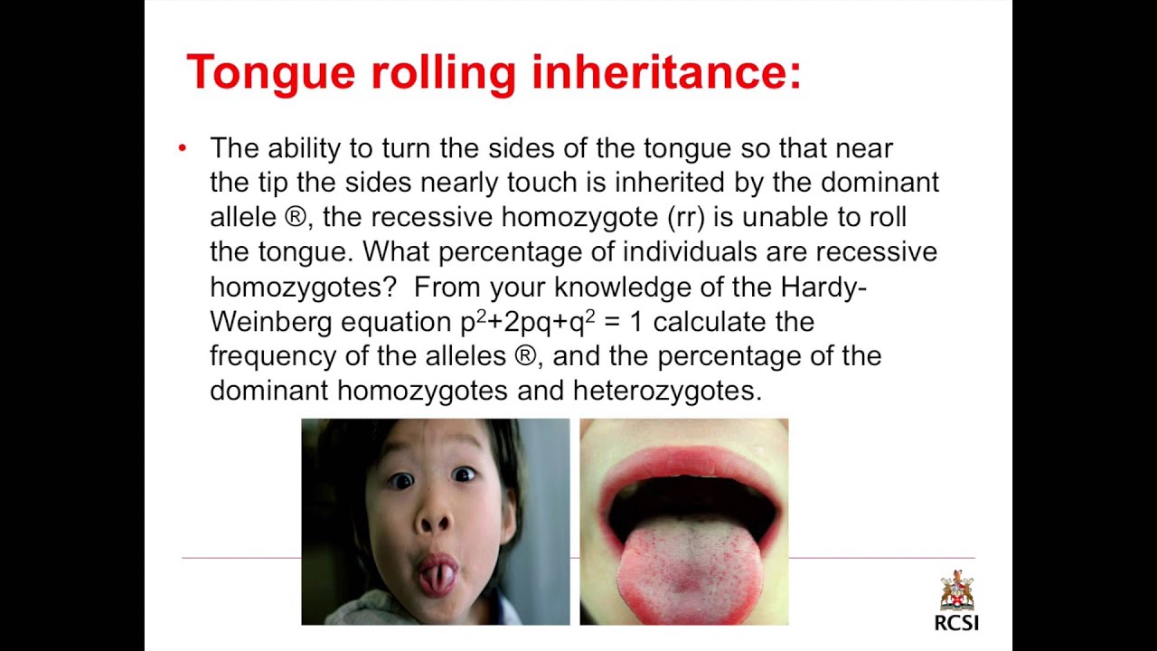 Tongue Rolling Pedigree Chart