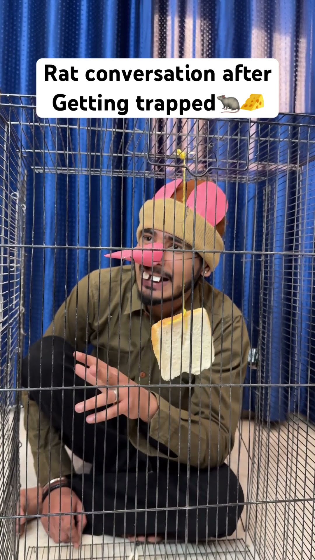 Rat conversation after getting trapped?? | Chimkandi
