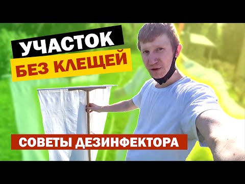 КАК ОБРАБОТАТЬ УЧАСТОК ОТ КЛЕЩЕЙ