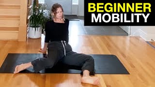 BEGINNER MOBILITY Follow Along Routine (15 Minutes)