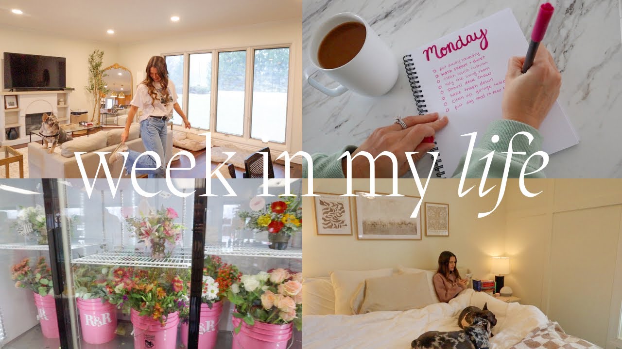 weekly-vlog-productive-reset-day-office-updates-trying-to-figure