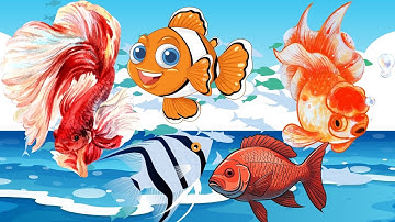 ĐÂY LÀ LOÀI CÁ NÀO? | HỌC CÙNG RUBY TV