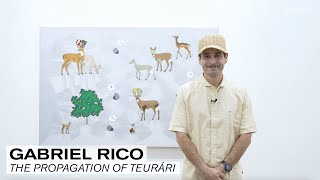 'THE PROPAGATION OF TEURÁRI' AT PERROTIN TOKYO by Perrotin 528 views 10 months ago 3 minutes, 40 seconds