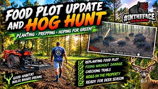 FOOD PLOT UPDATE & HOG HUNT! 🌱🐗 @AtncorpOptics