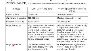 6. Scanning Electron Microscope