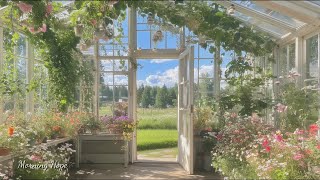 morning hope & tiny joy | soft piano for a gentle start 🕊️ screenshot 3