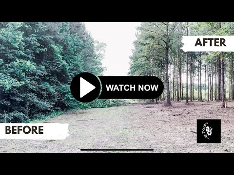 Clearing Land with a Forestry Mulcher - YouTube