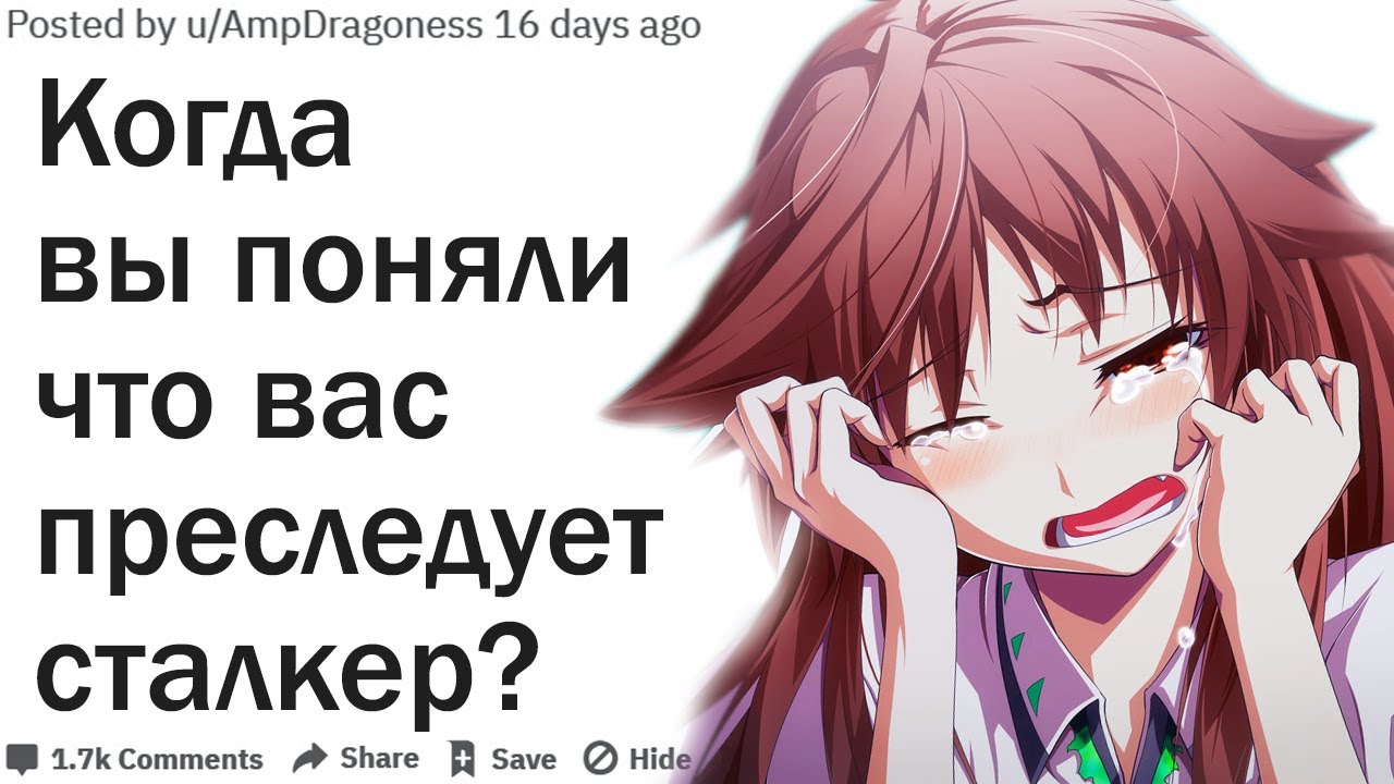 Сталкерить что это