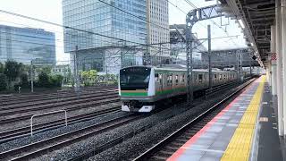 【良い音】E233系3000番代湘南新宿ライン快速列車通過