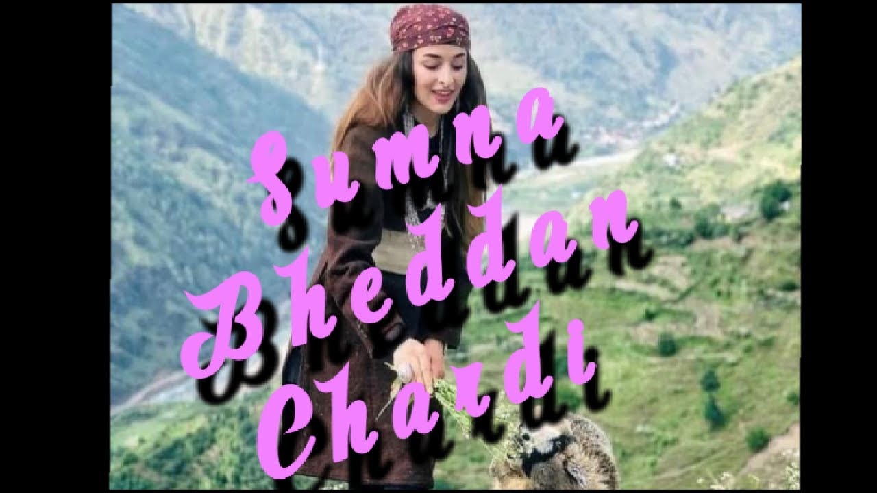 Sumna Bheddan Chardi  New Himachali Geet  Pahari Hit Video Song  Beinghimachali  New Series