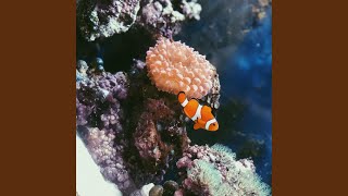 Ladies Night Special