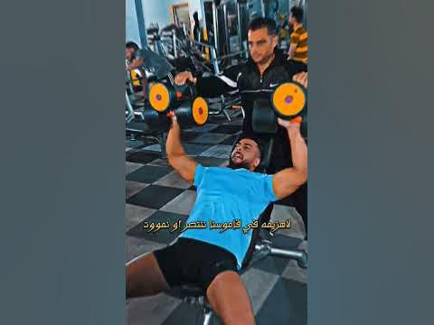 hq2.jpg?sqp=-oaymwEoCOADEOgC8quKqQMcGADwAQH4Ac4FgAKACooCDAgAEAEYSyBdKGUwDw==&rs=AOn4CLAByFv8EqT3ifB7jtY6AMtR4pgZhQ