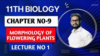 11th Biology |Morphology of Flowering Plants | Chapter 9 | Lecture 1 | Maharashtra Board | screenshot 2