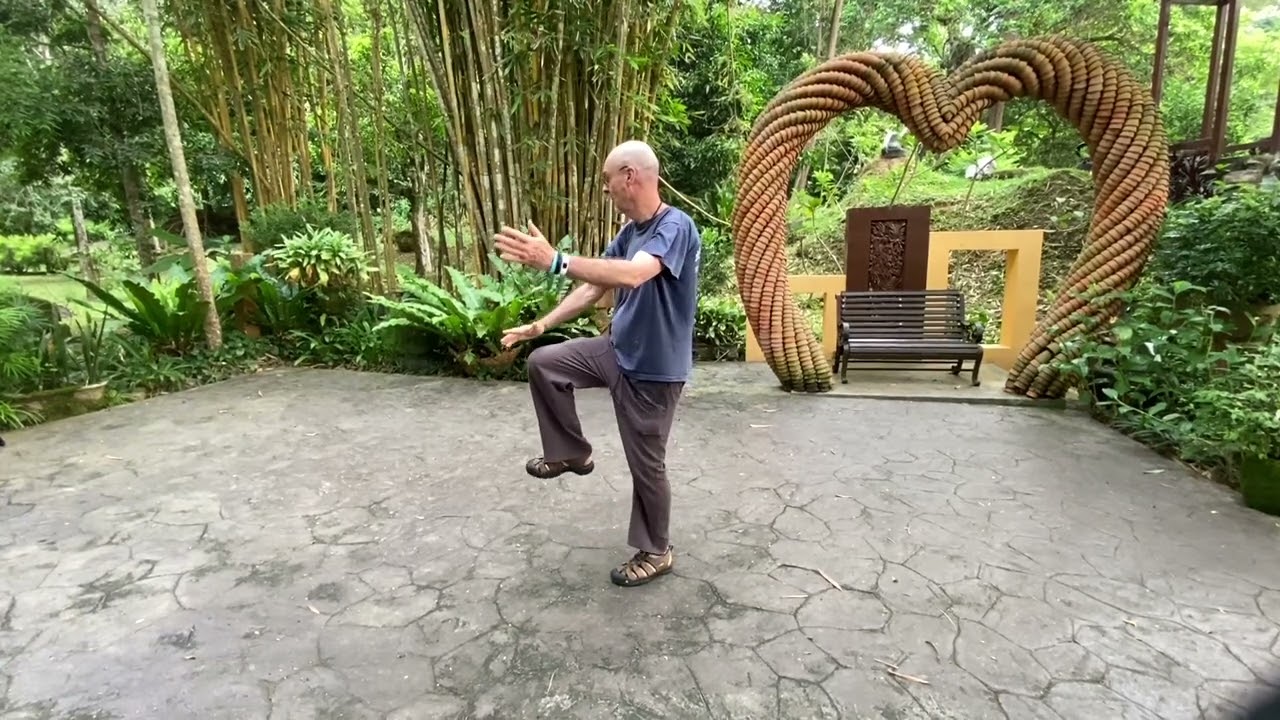 Zhang San Feng 56 Forms