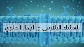 شرح الفصل الاول مادة الاحياء السادس الاعدادي الغشاء البلازمي و الجدار الخلوي