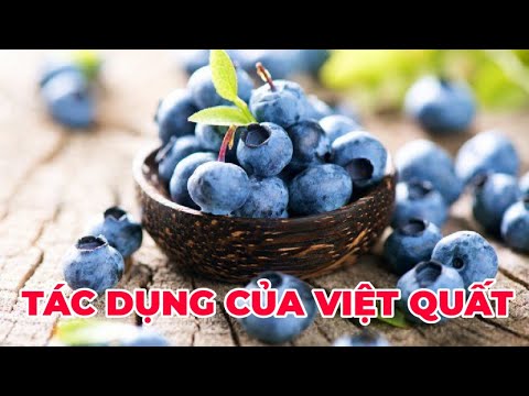 Video: Thông Tin Về Trái Việt Quất Chua - Làm Gì Với Quả Việt Quất Chua